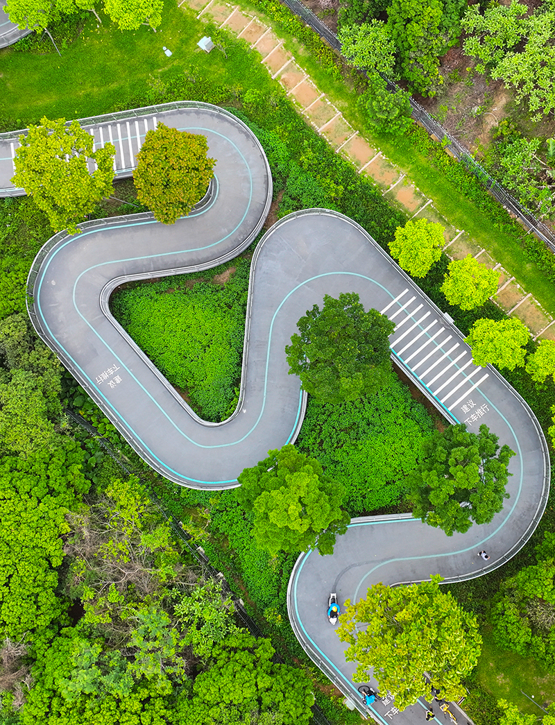 Nanshan International Block