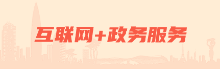 互联网+政务服务