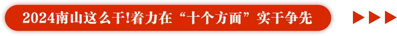 2024南山这么干!着力在“十个方面”实干争先