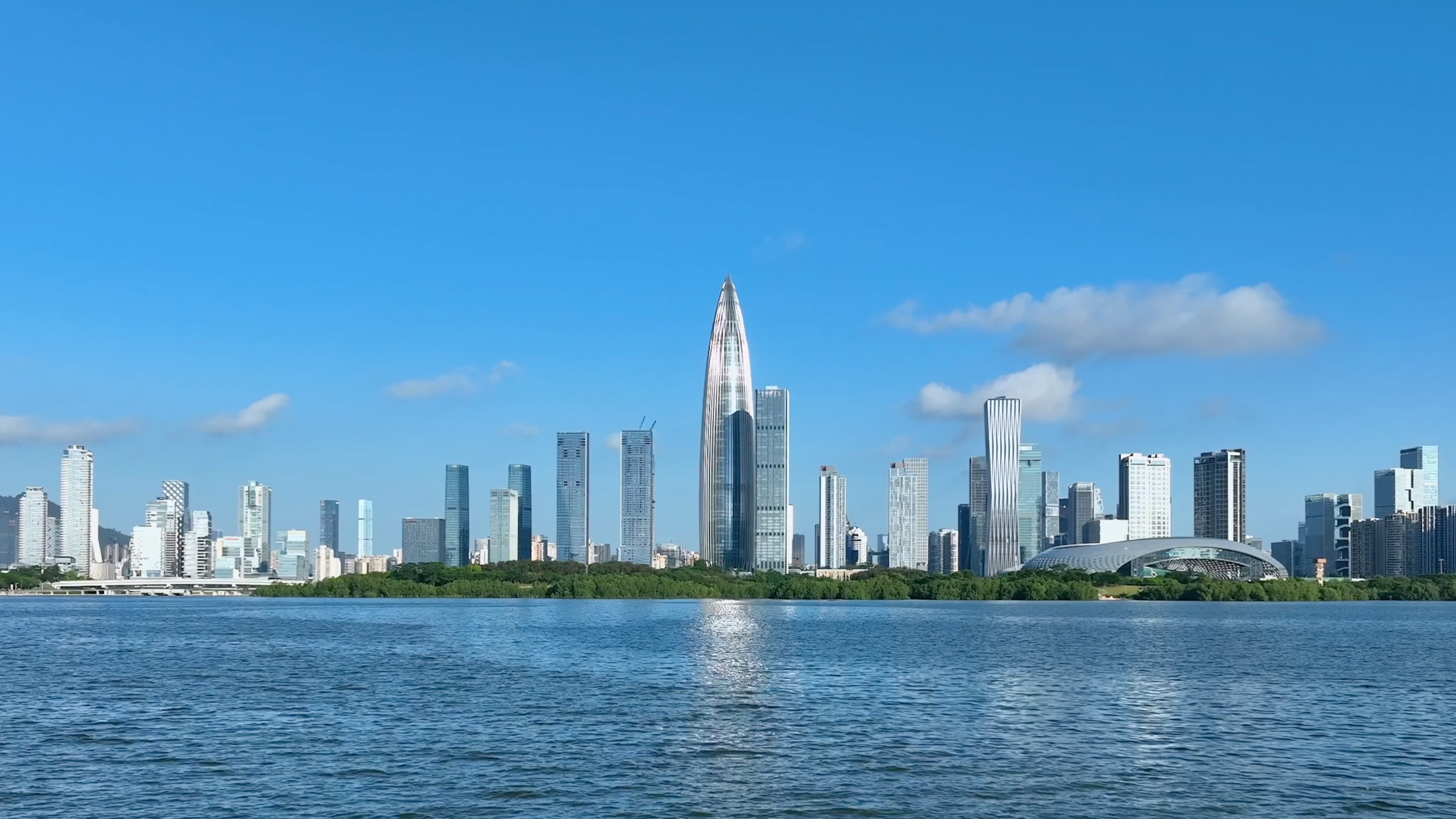 Nanshan District Banner