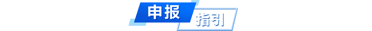 申报指引