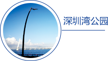 深圳湾公园