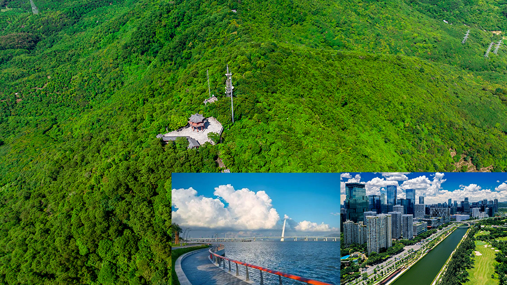 南山区茶光—塘朗山远足径示范段建设完成  标志着深圳首条山海通廊全线贯通