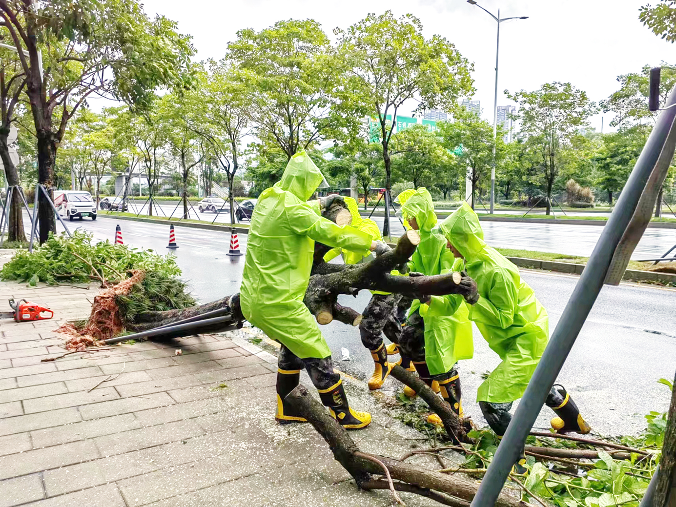 南山应急全力以赴应对台风“苏拉” 各项防风措施落小落细落实到位 打造安全避风港
