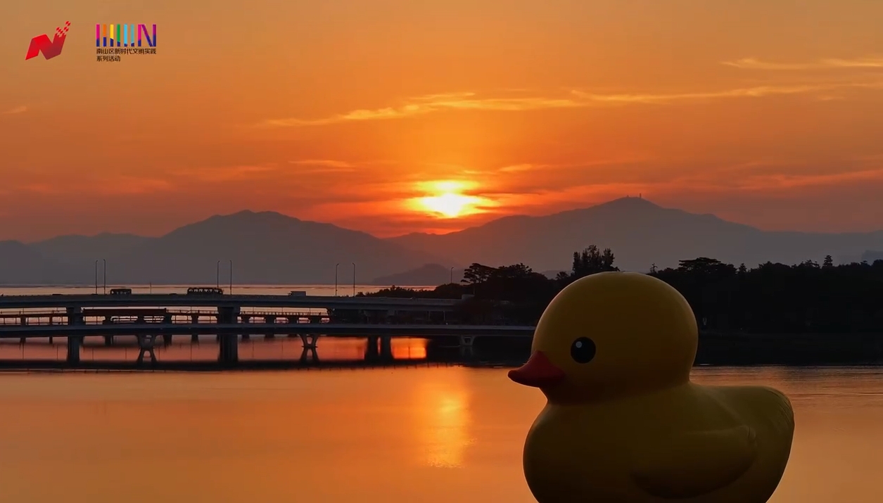 这一天 我和大黄鸭一起看日出