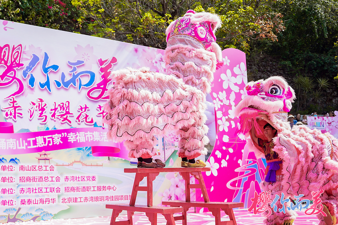 940901_yansy_1742731224619.jpg