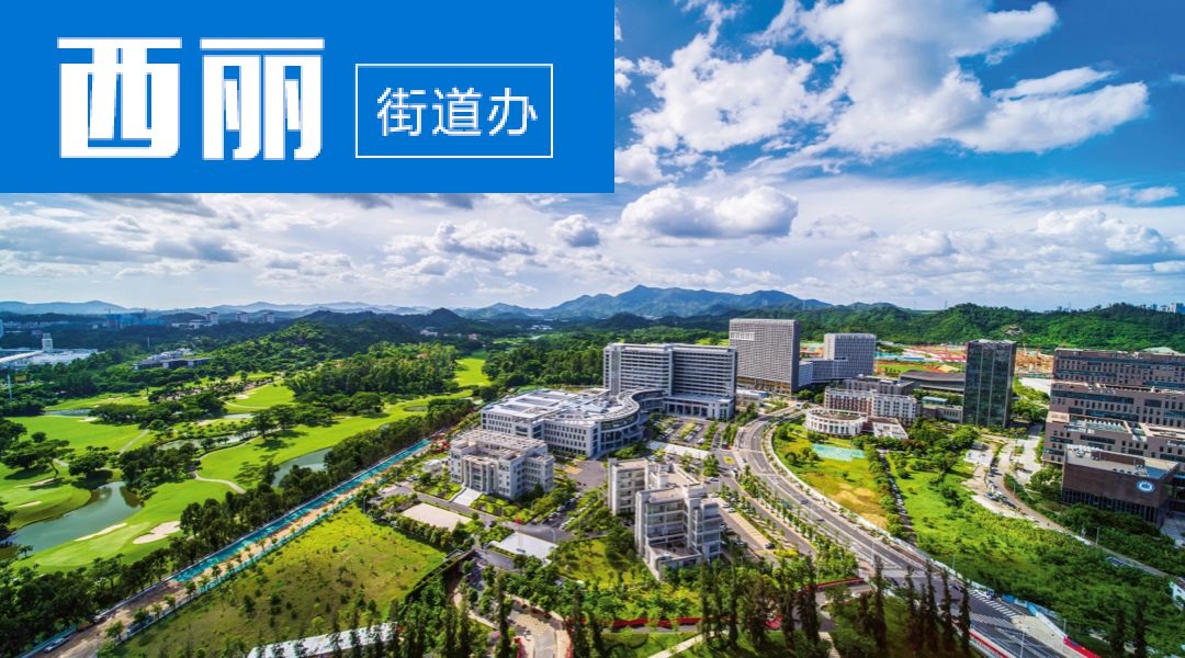 西丽街道办