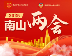2025南山两会