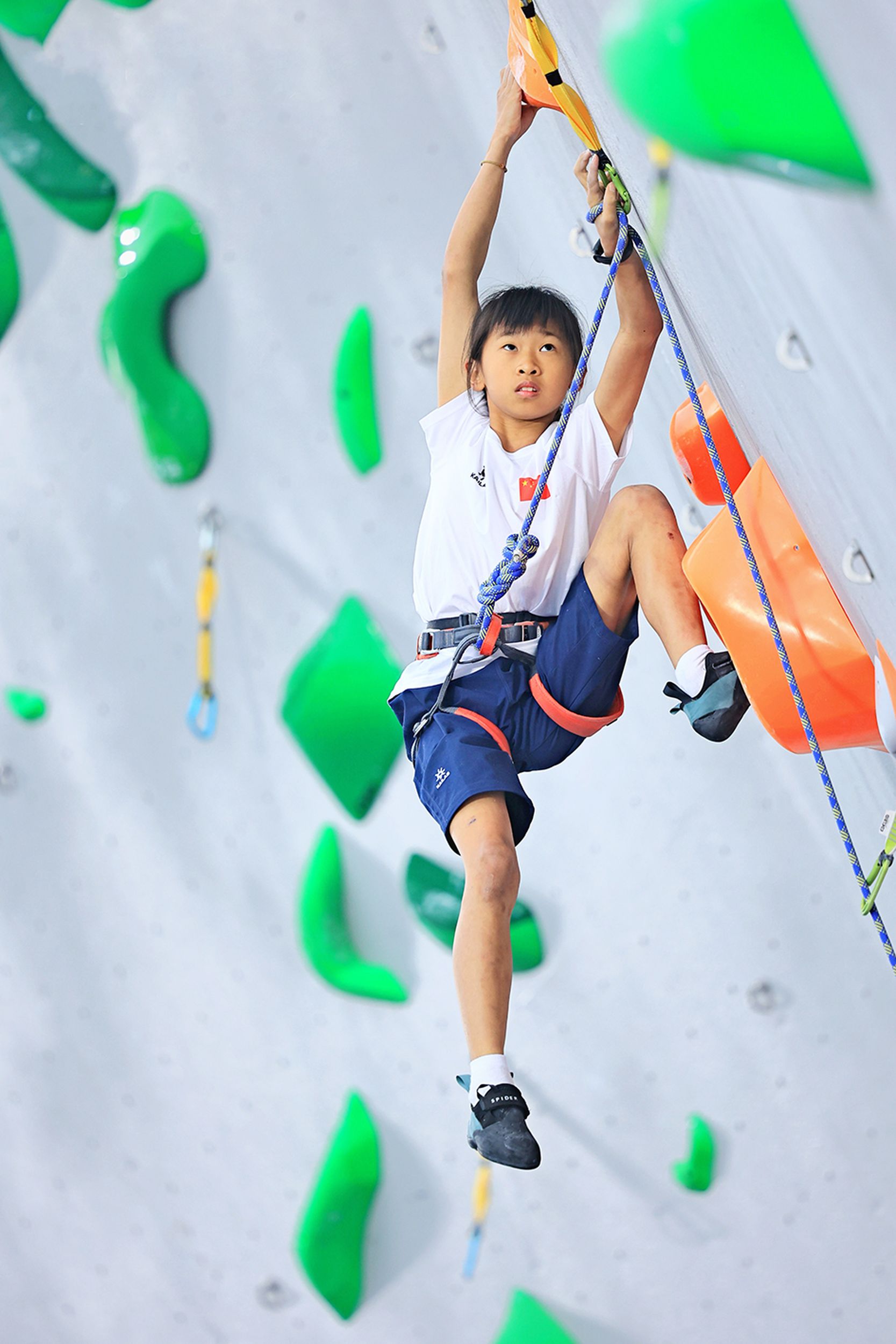 947916_wudan_1746618754057.jpg