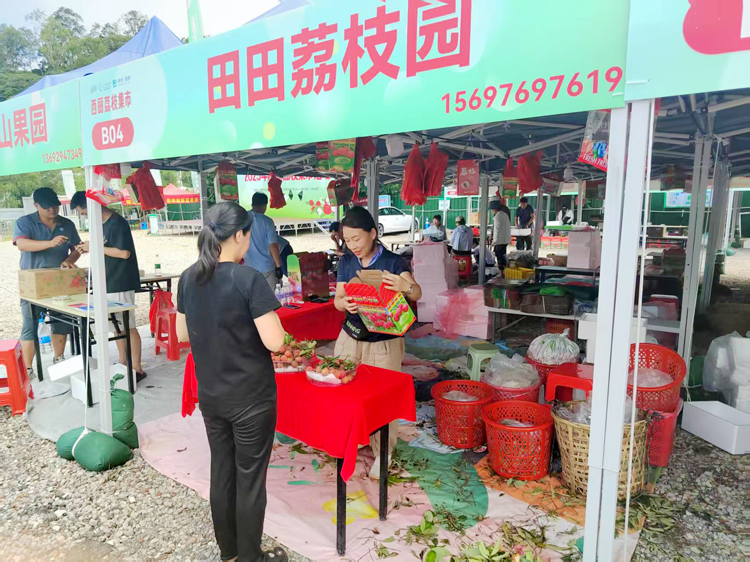 956621_wudan_1750599518755.jpg