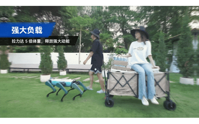 5.gif