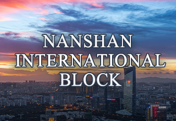 Nanshan International Block