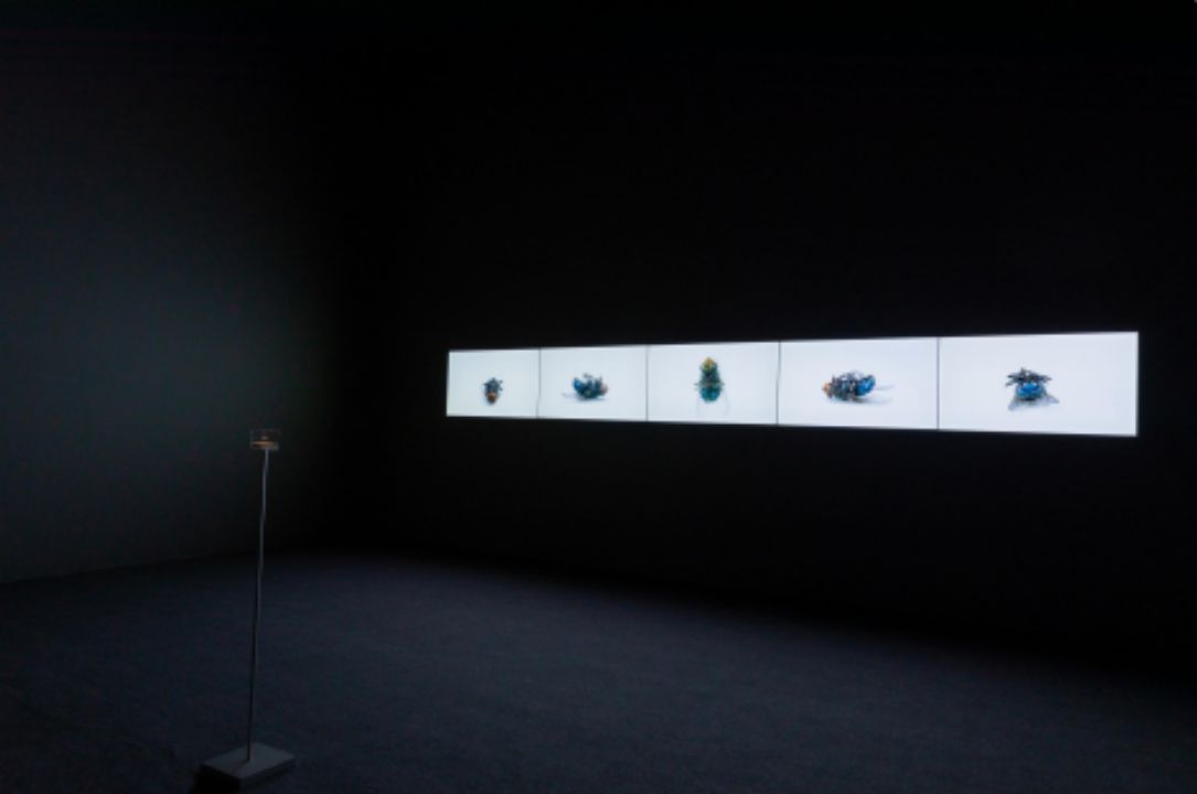 一个生命的最后几分钟 _The Last Few Minutes Of A Life .jpg