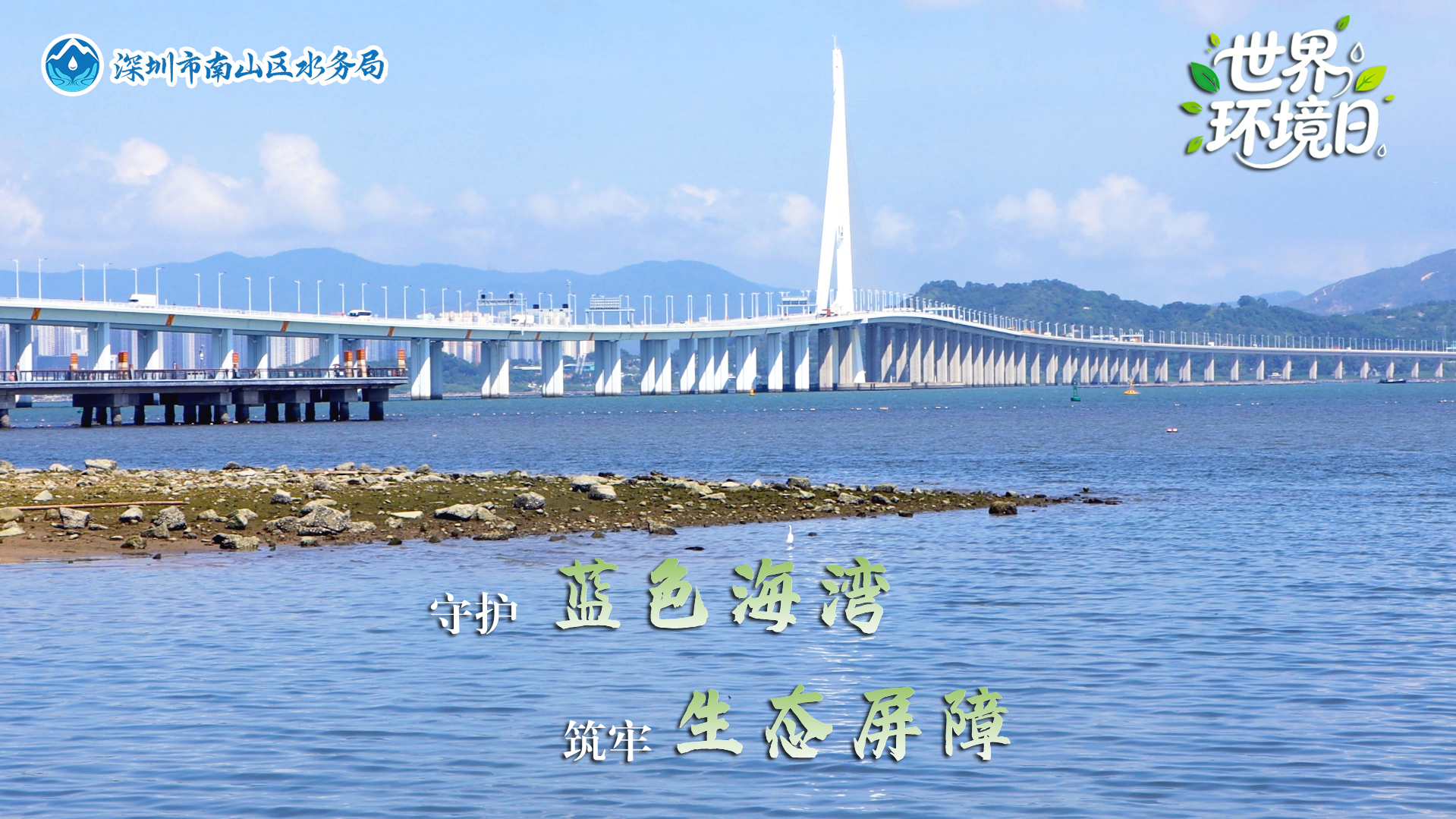 世界环境日5.jpg