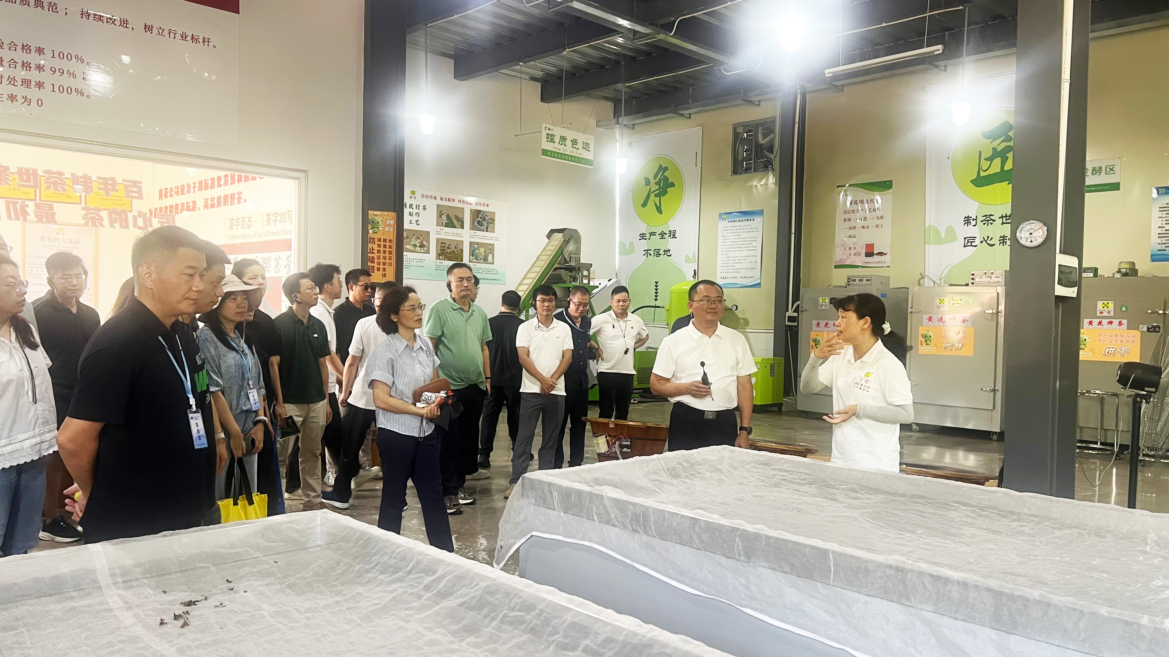 8月12日至14日,南山区“百千万工程”指挥办在河源市紫金县委党校举办2026年南山区“百千万工程”乡村振兴专题培训班。新一批省内帮扶协作干部,以及派驻河源连平县13个乡镇的市、区两级驻镇干部共56人参加培训。学员现场参观黄花村,了解紫金蝉茶品牌培育路径。.jpg