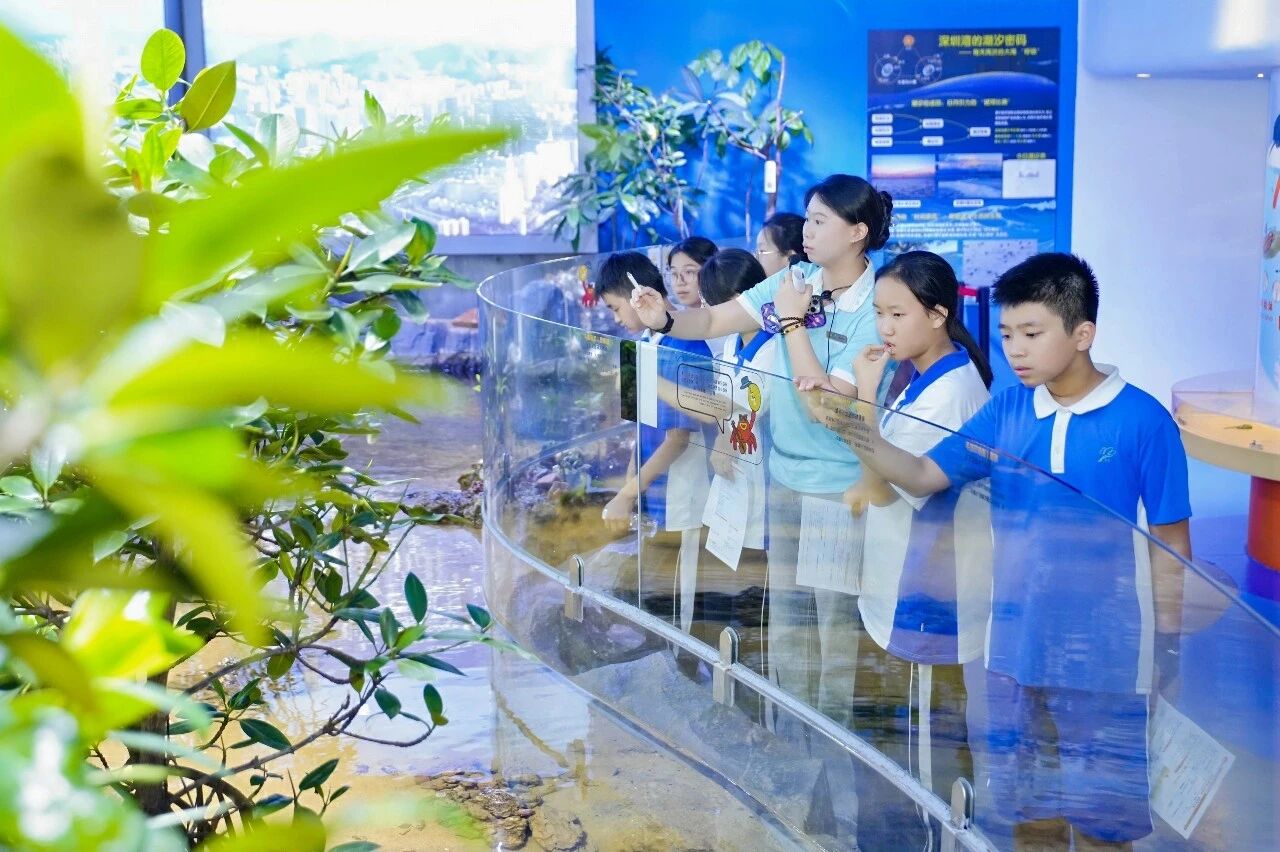 太子湾学校的同学们，走进海洋奇梦馆。学校供图.jpg