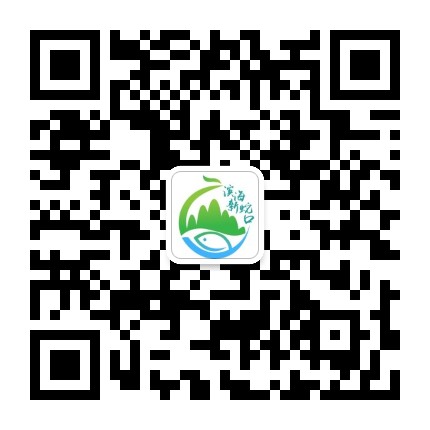 滨海新蛇口