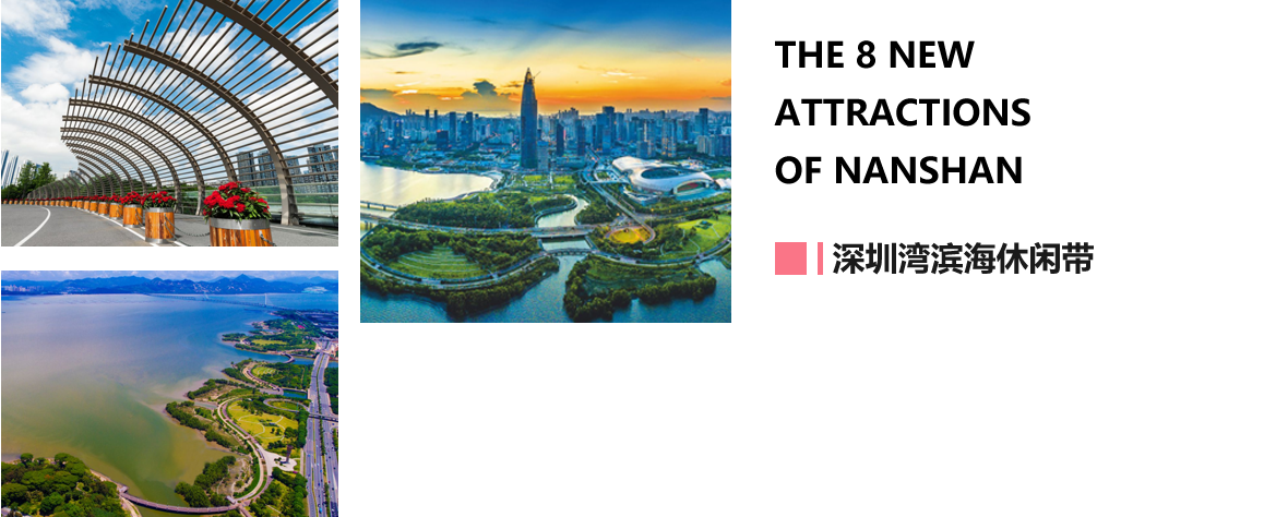 深圳湾滨海休闲带