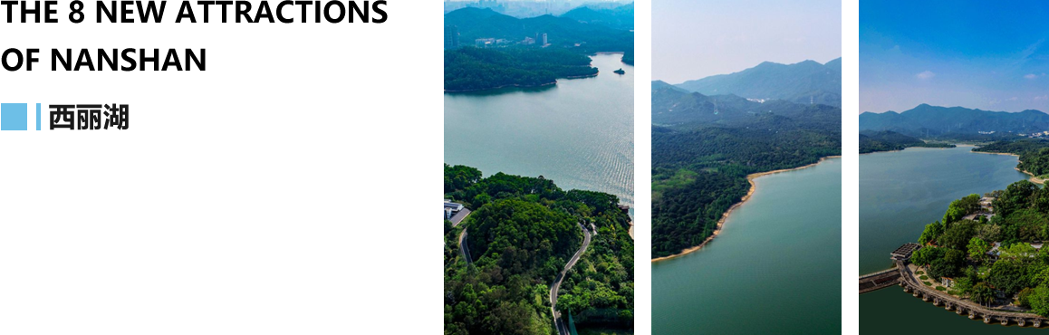 西丽湖