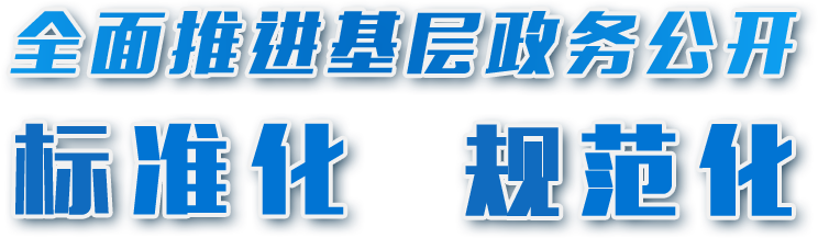 全面推进基层政务公开标准化规范化