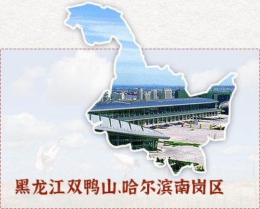 黑龙江双鸭山，哈尔滨南岗区