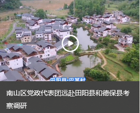 南山区党政代表团远赴田阳县和德保县考察调研