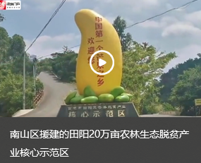 南山区援建的田阳20万亩农林生态脱贫产业核心示范区