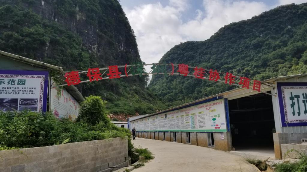 德保县（深圳）粤桂协作项目